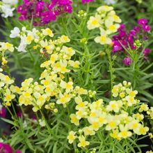 ~Nļ׷N^ܻ＾NվջͥԺN