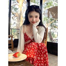 �ٽzƴ��v�I�tɫ�黨�����B��ȹŮ2025�ļ���Ͱ�����¶���Lȹ��