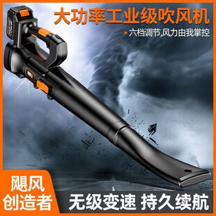 Germany Plender high-power rechargeable hair dryer industrial dust collector blower deciduous leaf soot blower snow blower
