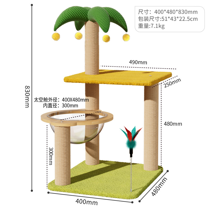야옹 스타 시티