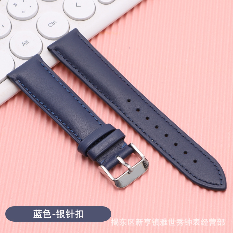 일반 블루 실버 핀 버클