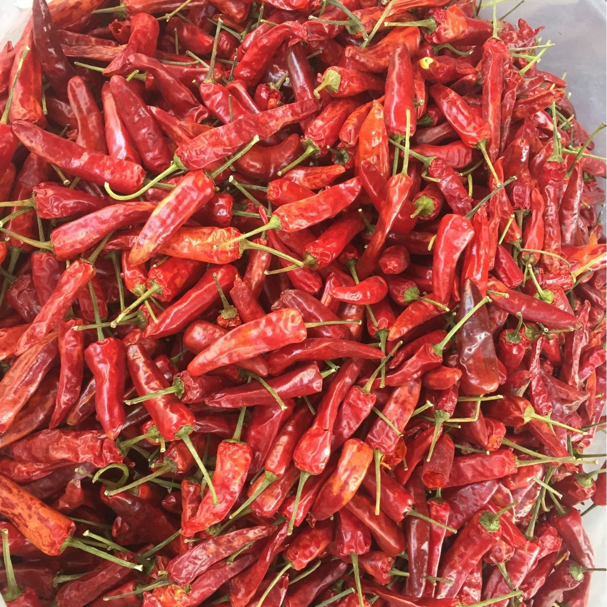 福建辣椒王干辣椒 武汉黑鸭专用辣椒王 现捞鸭脖指定辣椒源头厂家|ru