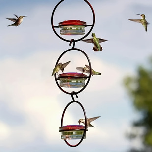 2025 New Cross-Border 3 Hummingbird Feeders, Round Metal Frame and Perch, Durable