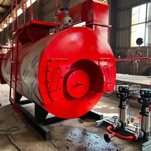 WNS3-1.25-YQ��ʽȼ�͚�͵�����偠t ����ӡˢʳƷ�ӹ� �S�rֱ��