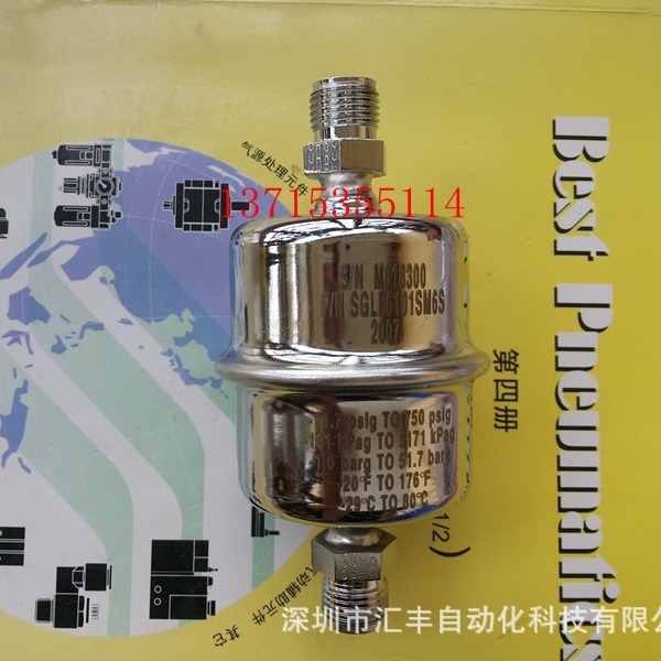 PALL GASKLEEN FILTER ASSEMBLY S/N M818300,P/N SGLF6101SM6S