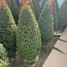 ����СϞ������ͥԺ���Rֲ�﹫�@�G������Ϟ����С�^�G������СϞ