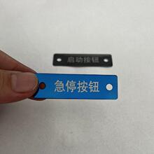 �����˿հײ��P�С�50x15mm�R���䓘��{⁺�����l�F؛
