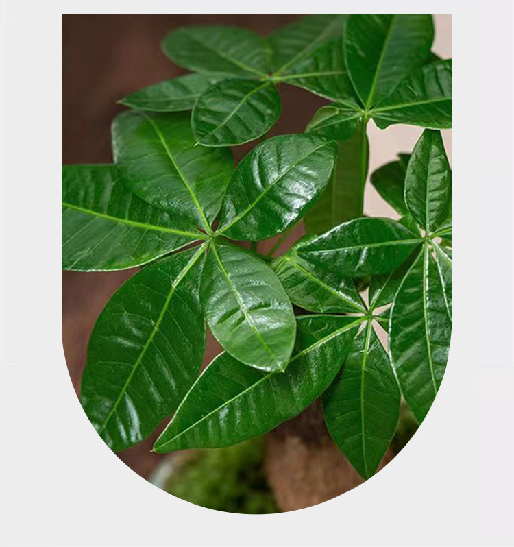 731214176074de153a1e9-0c67-442