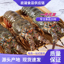 �r��С�������r�r����؛�r��r�������r��������r�W���������l