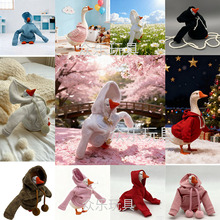 �Q�b�Z���Д[��耳׿�ë�q�����ż���նY��������������·�