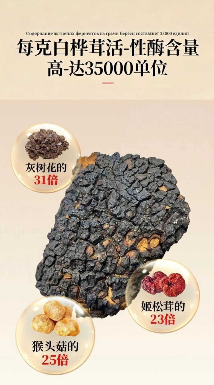 Wild Birch Chaga Mushroom Dark Extract Deep Aged Direct From Origin 500g Culinary Use quality and texture