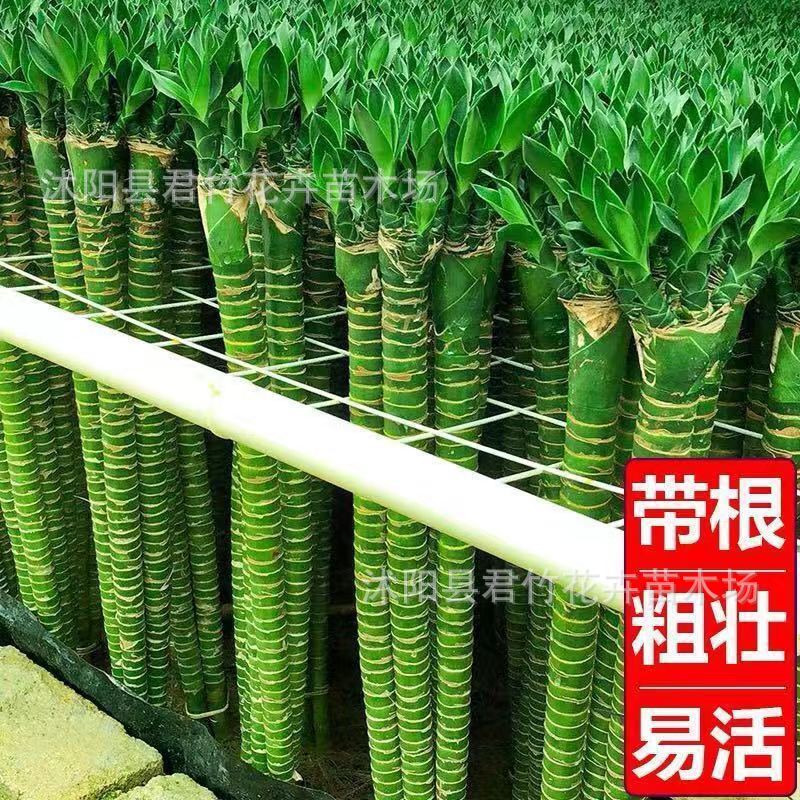 微信图片_20230909115637