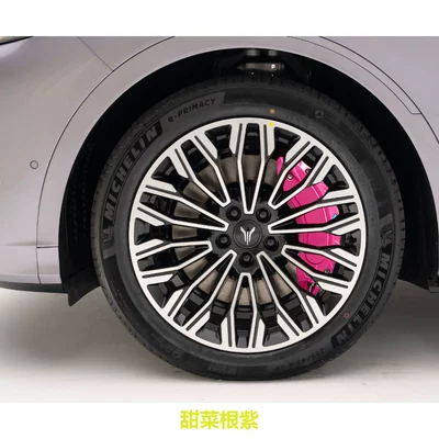 Brake caliper cover: Dreamer, Chasing Light, and Zhiyin