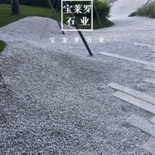 ֮ | ʽ쾰Ŀ ״ɰ[ ɰ[2:1 6-9MM