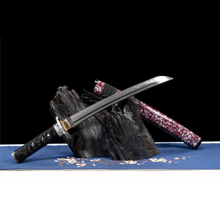 T10����������ʿ�̵� �ձ����{����ʽ�� �߲����Ȫ���� δ�_��