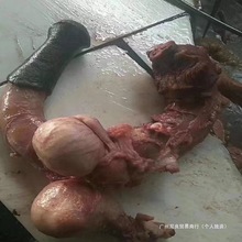 ���r���H���������׎����H������ʳ���a�F���ݾ��H�����H��ţ���