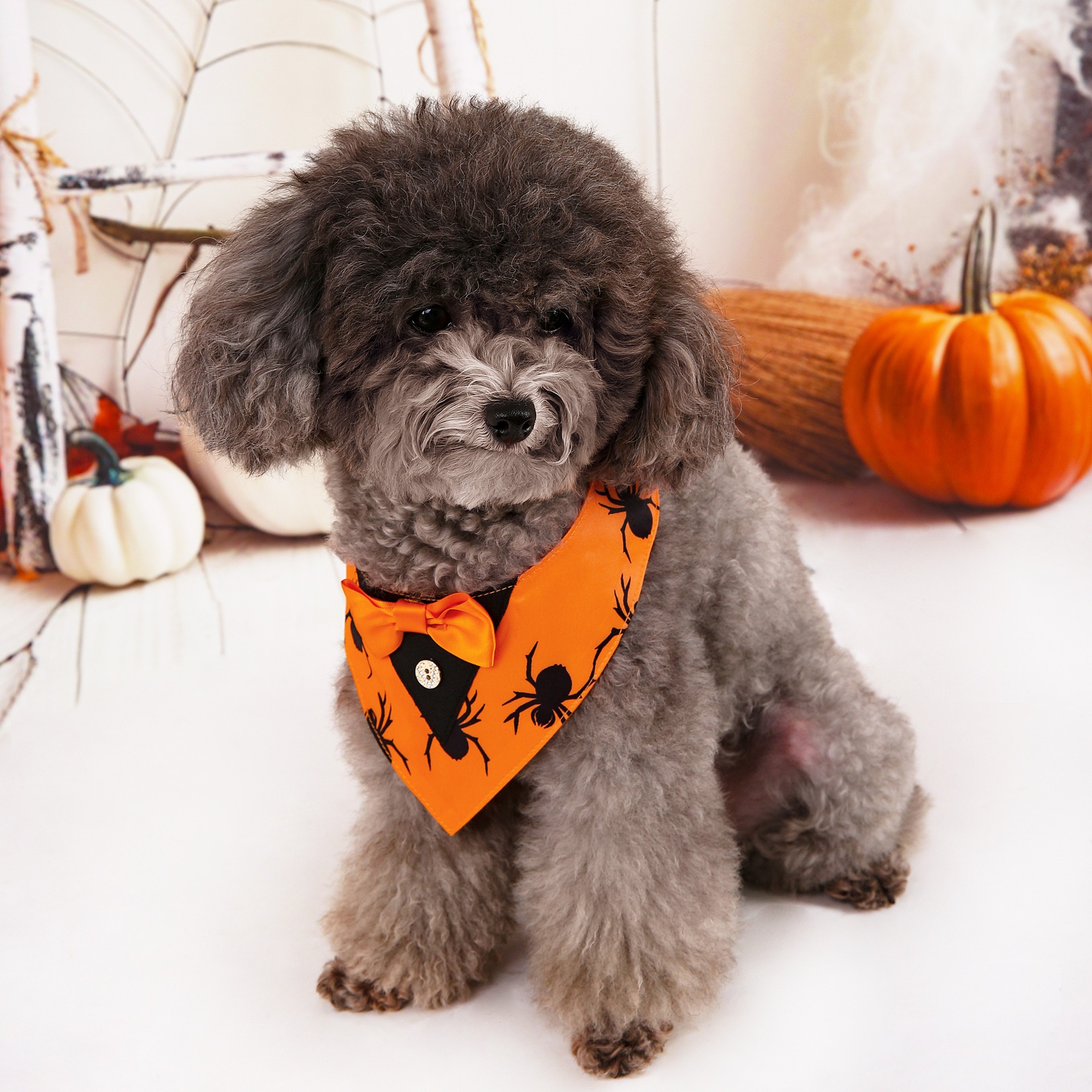 Halloween nuevo traje de mascotas toallas triangulares toallas de saliva collar de mascotas fábrica de ropa de perro en stock