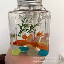 ҹ�Д[���������~�����Ϸ��θ��嶷�~��500��������ƿ�޹��~ �~ƿ