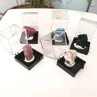 ��Ȼ��Nˮ���Vʯ�˱��н̌W���՘˱��[���V��ԭʯ�Ҿ�����չʾ