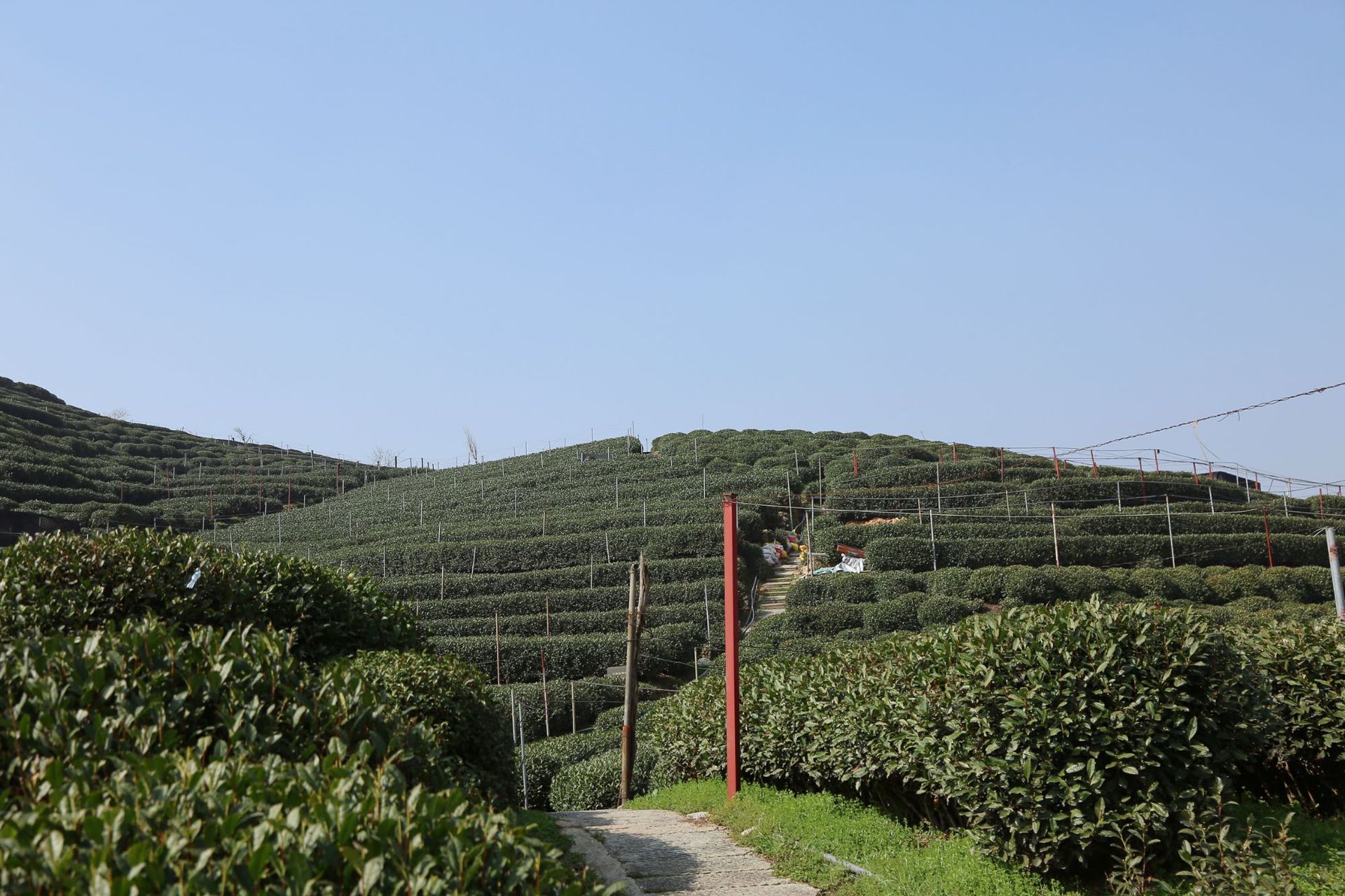 微信图片_20230221130129