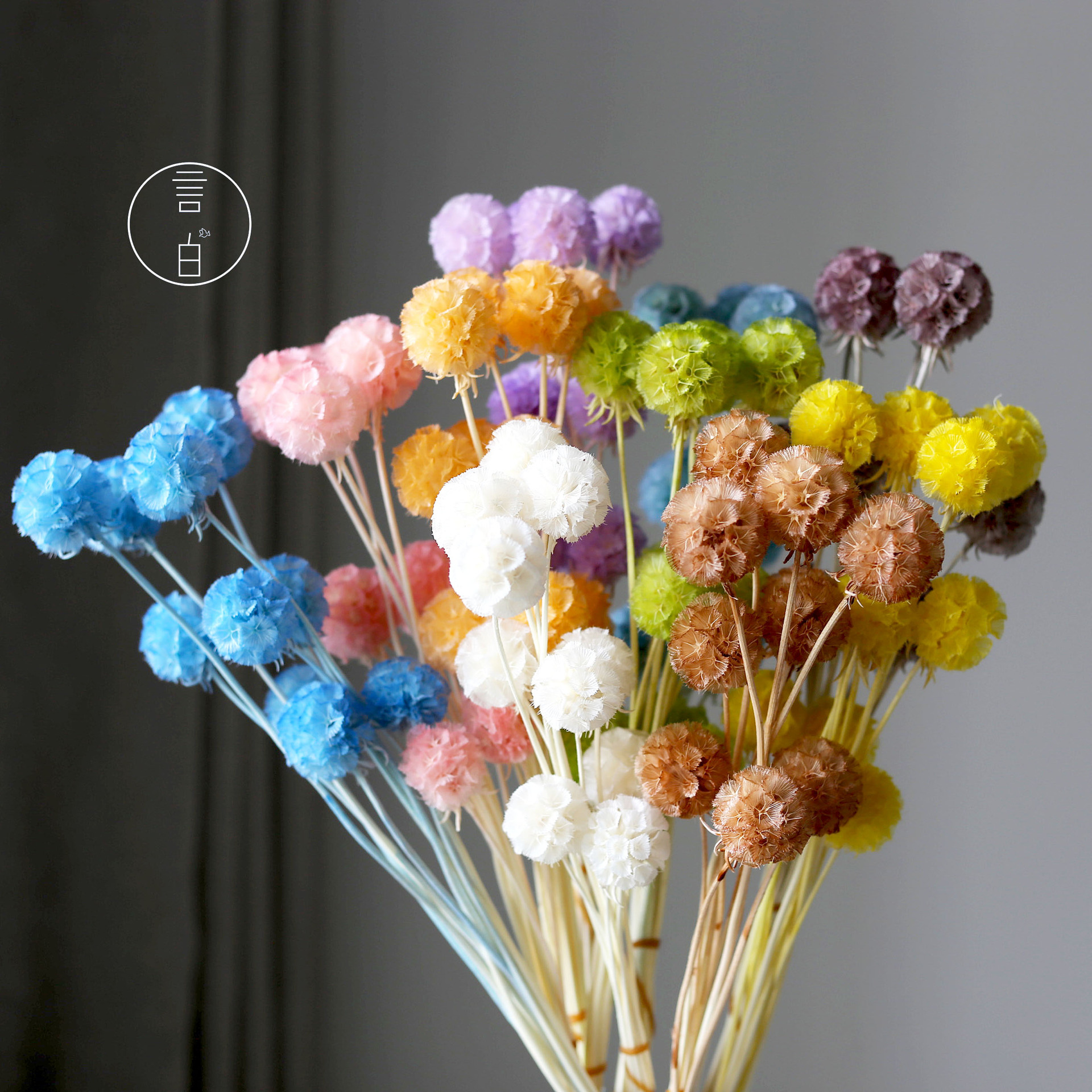 Immortal single-headed pinwheel fruit, bleached pineworm fruit, star flower chrysanthemum, home decoration dried flower bouquet manufacturer wholesale