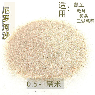 ���_��ɳ���yɳ�~�׵�ɳˮ�ݸ����������~��ɰ�~���쾰��ɳ���Sɳ