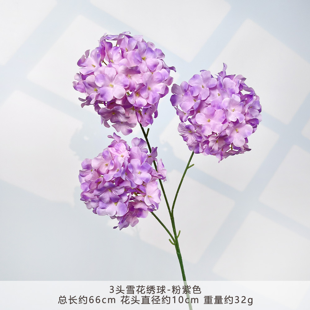 HXX-3头雪花绣球-粉紫