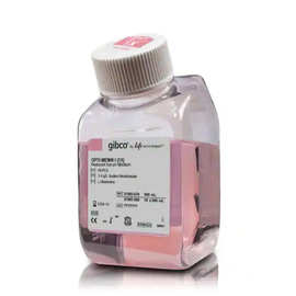 Gibco 31985070 Opti-MEM  I 减血清培养基含L谷氨酰胺Invitrogen