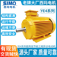 ����늙CYE4-225M-6 30KW��Ч���ܮ���늙C�S��IP55�O��2P4P6P8P