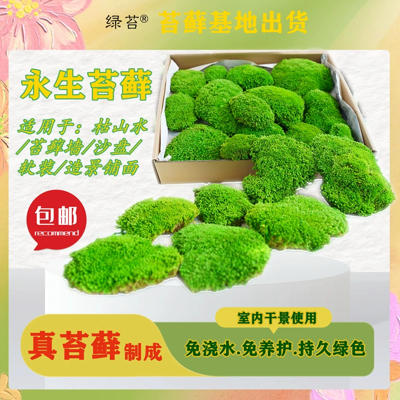 Вечный мох для седых волос, смягчающий и увлажняющий, мягкая декоративная стена из мха, натуральное украшение из мха, не требующее полива.