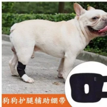 Поставки для домашних животных Защитные средства для собак