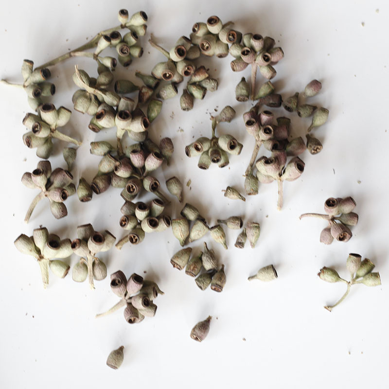 Flores secas, fruta zombie, fruta de eucalipto, campanas de viento, marcos de fotos de frutas, imanes para refrigerador, coronas, kits de materiales DIY de fruta seca hecha a mano, venta al por mayor de fábrica.