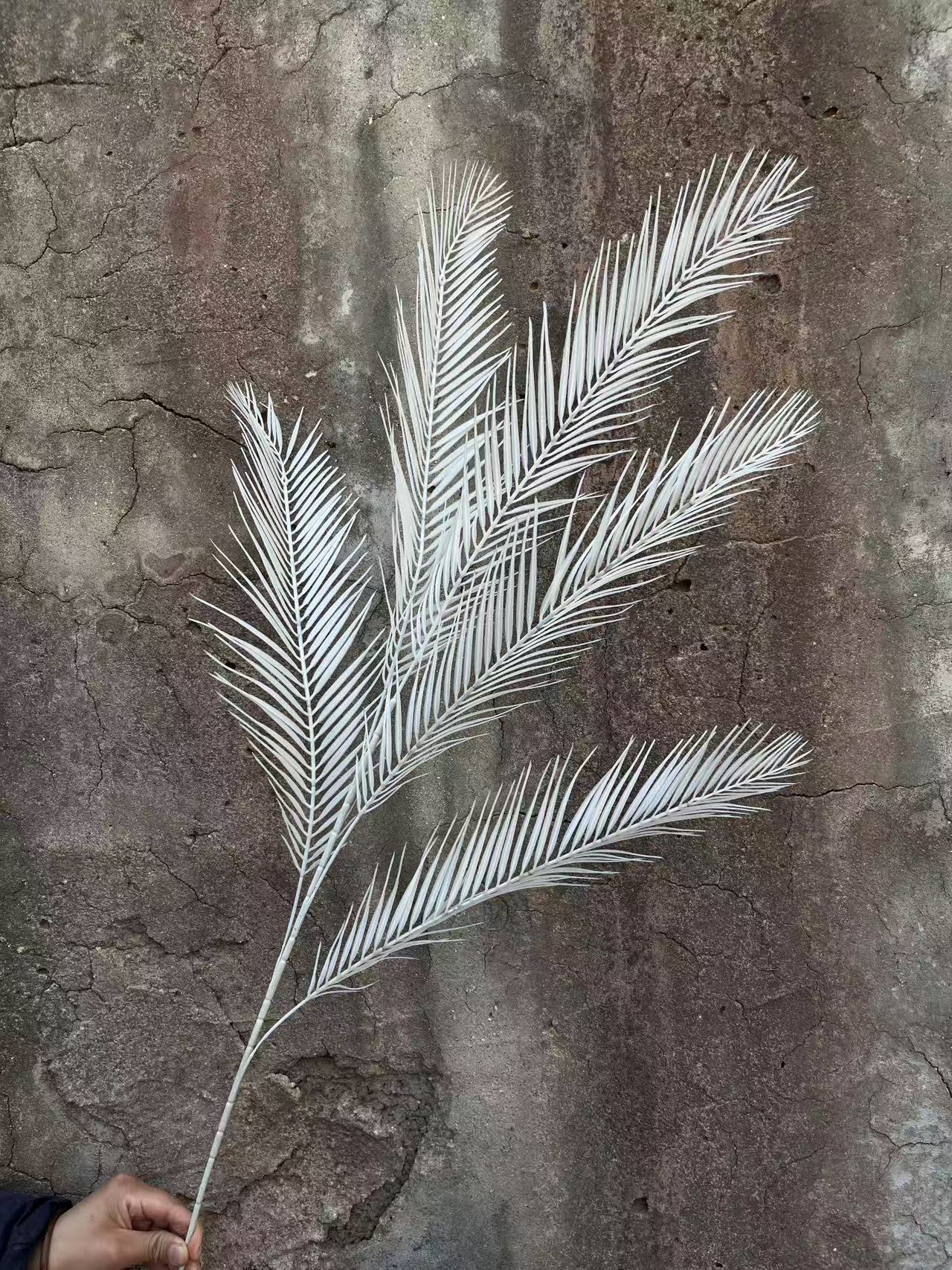 微信图片_20250402154919