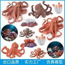 儿童玩具认知仿真动物模型海洋馆生物鱿鱼八爪鱼乌贼章鱼成长周期
