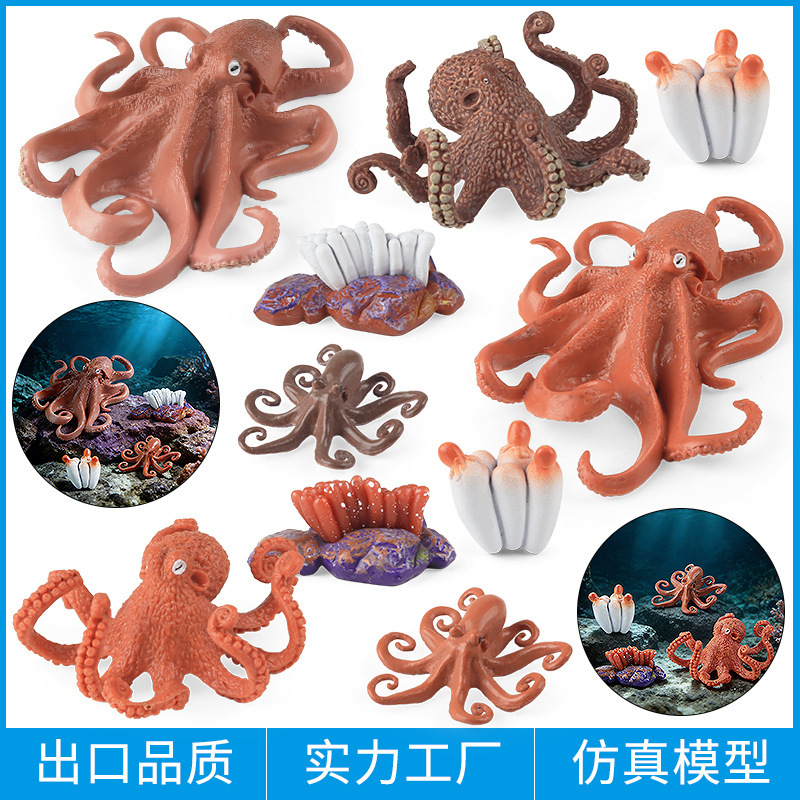 Children's Toys Cognitive Simulation Animal Models Aquarium Creatures Squid Octopus Cuttlefish Growth Cycle Children's Toys Cognitive Simulation Animal Models Aquarium Creatures Squid Octopus Cuttlefish Growth Cycle