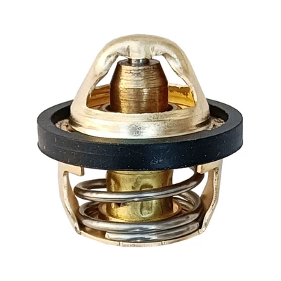 Thermostat for: Kawasaki Thermostat