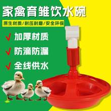 跨境亚马逊养殖鸭鹅自动水壶畜牧用品育雏水壶养鸭用自动饮水器