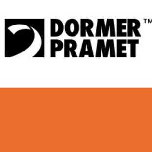 �ଔDORMER��������PRAMETӲ�|�Ͻ�z�F��^�������l