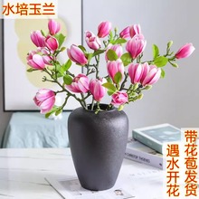 �����m����֦�r�Ў�����ѩ��������ѻ��r֦ˮ��ֲ���҃Ⱥ��B����