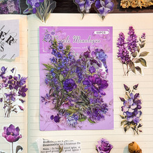 ������ɫ���仨���N�����ֵDIY͸����ˮpet��Ĥ�����b��r���N��