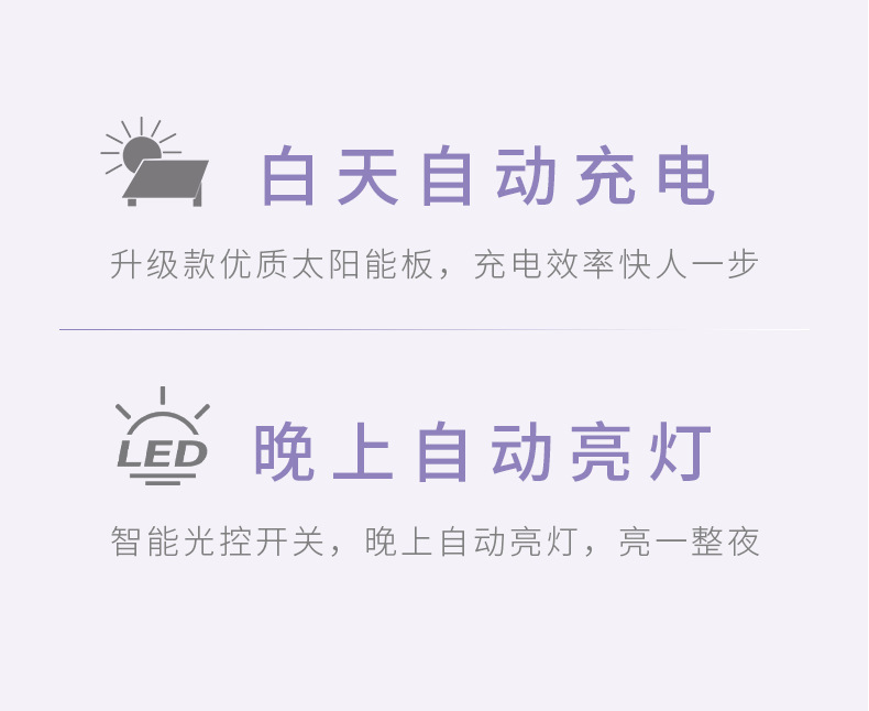 16951657916_1695873881