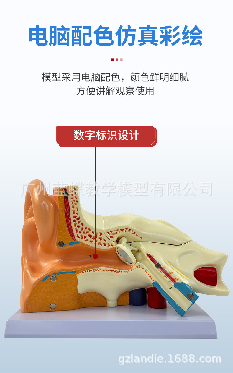 详情 (5)