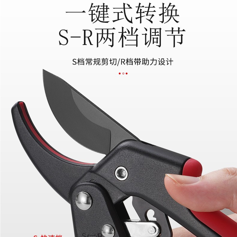 园艺摘果剪阳江不锈钢剪盆景果树修枝剪多功能葡萄花椒剪园林工具