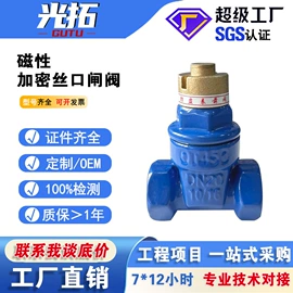 闸阀;止回阀;其他阀门