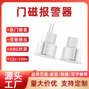 Hidden embedded iron window door magnetic alarm sensor household magnetic control switch cross-border anti-theft device wired normally open and closed