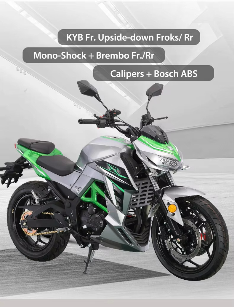 New Xixi Brand New Python Dms Motorcycle Sports Car Large Displacement Adult Cool High-Speed Motorcycle Racing Air-Cooled