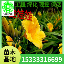 ���l����� ���n�� �ͺ����� ���������С�绨������ͥԺ�G��