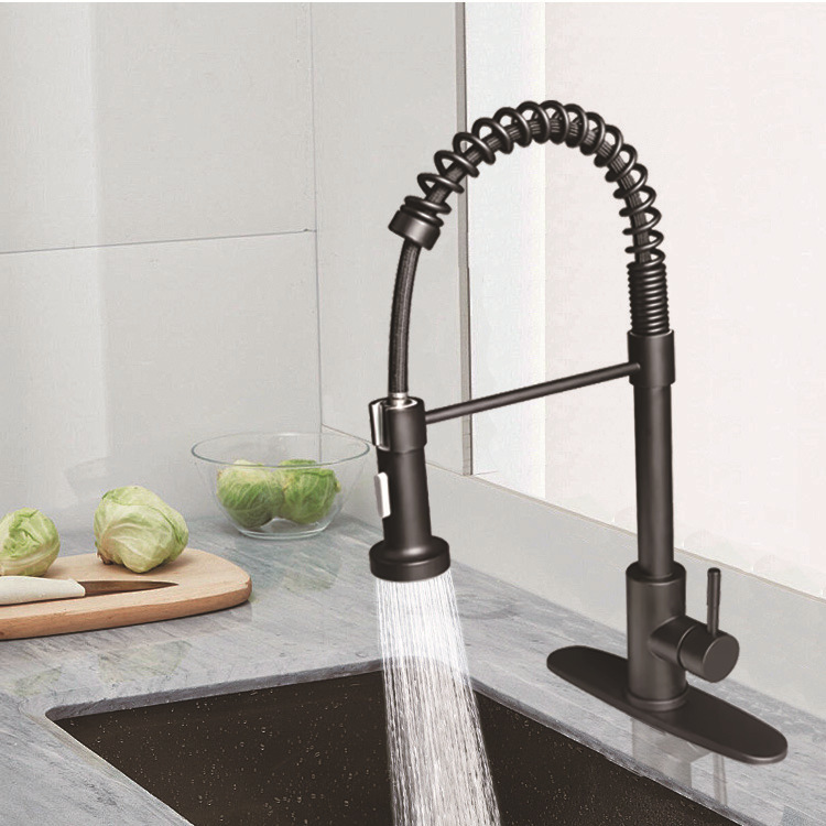 Factory Direct Sales Cupc Spring Stainless Steel Kitchen Faucet Pull-Down Faucet Sink Sink Faucet Factory Direct Sales Cupc Spring Stainless Steel Kitchen Faucet Pull-Down Faucet Sink Sink Faucet