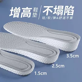 鞋垫/增高垫;皮带