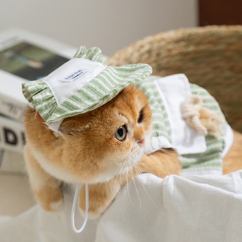 Gato Primavera Verano Simple Chaleco de princesa a rayas Sombrero Gato sin pelo Gato joven Perro Pet Ropa para gatos